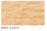 FCB-Buildex-CN Фиберцементэн сайдинг /галд тэсвэртэй A1/ (455x3030x16мм)         